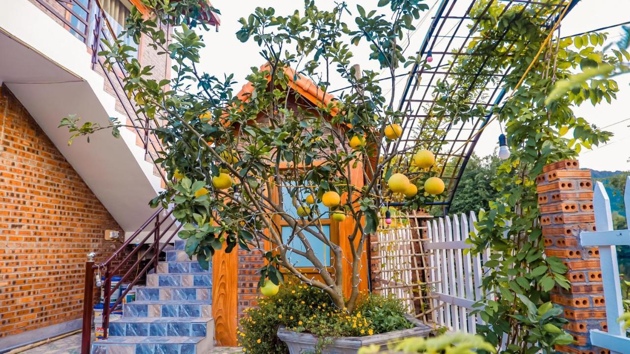 Cosiana Homestay Ninh Binh Exterior foto